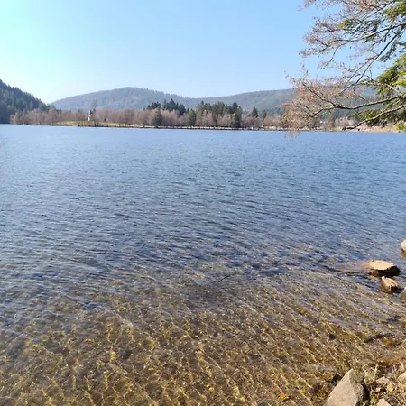 Vue Sur Les Pistes De Et En Bas De La Station *