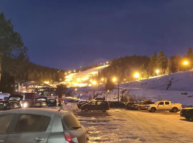 Vue Sur Les Pistes De Et En Bas De La Station * La Bresse