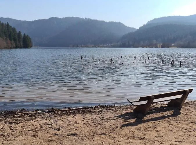 Appartement Avec Balcon * La Bresse