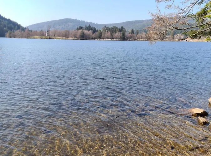 Vue Sur Les Pistes De Et En Bas De La Station *