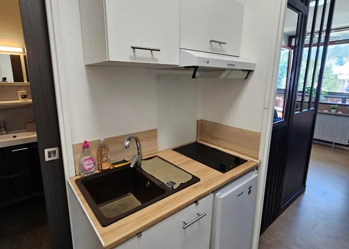 Vue Sur Les Pistes De Et En Bas De La Station