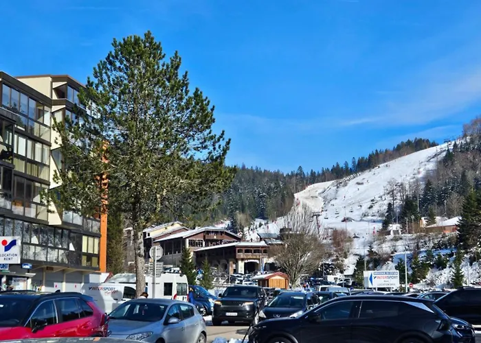 Appartement Avec Balcon La Bresse